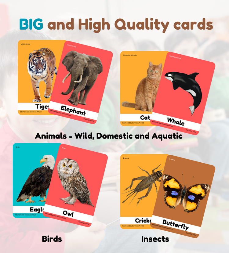 Edsmart BIG & Thick Flash Cards for Toddlers & Preschool  - Animals, Birds and Insects Learning for Kids |Montessori Toys & Games
