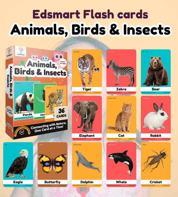 Edsmart BIG & Thick Flash Cards for Toddlers & Preschool  - Animals, Birds and Insects Learning for Kids |Montessori Toys & Games