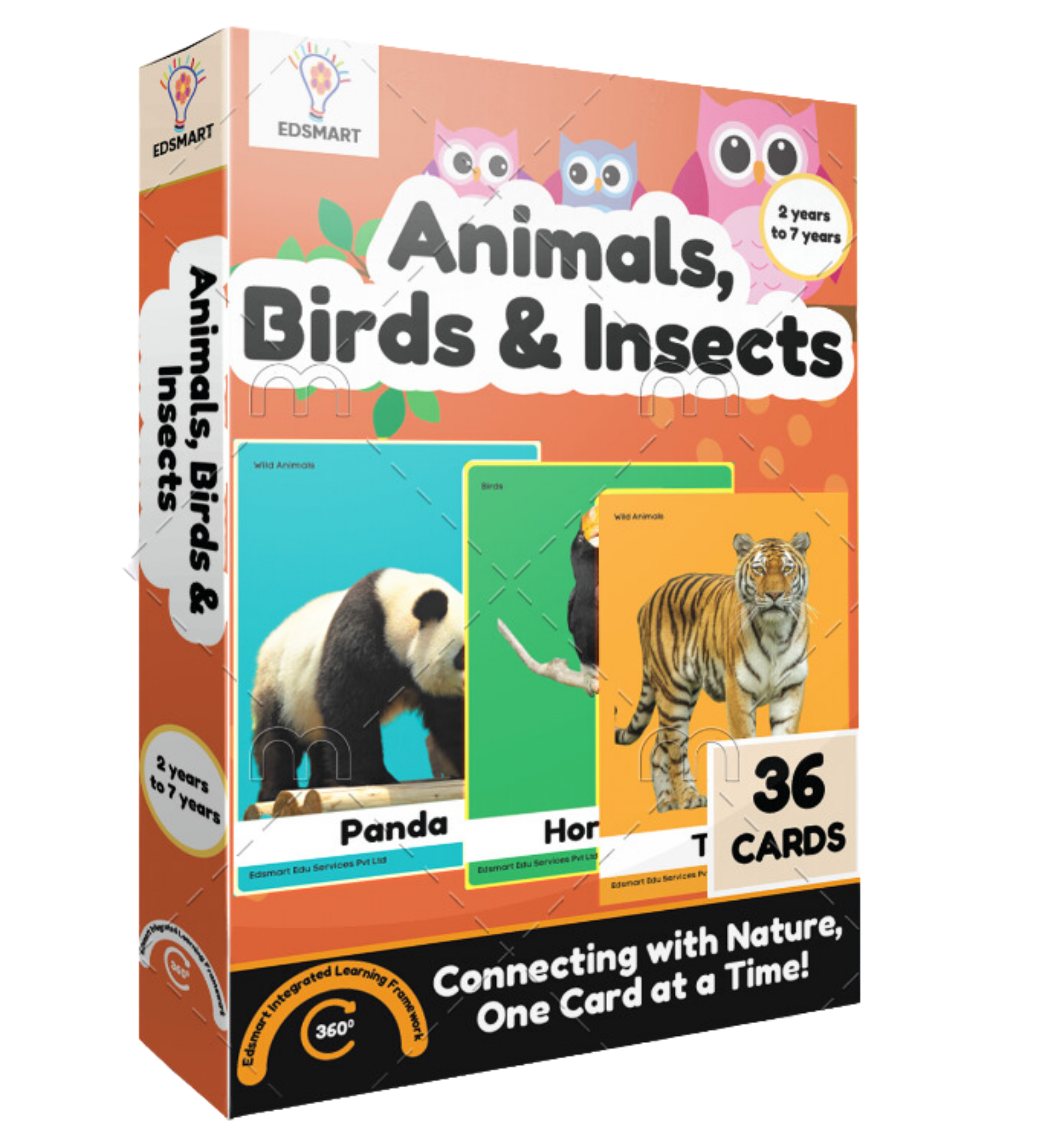 Edsmart BIG & Thick Flash Cards for Toddlers & Preschool - Animals ...