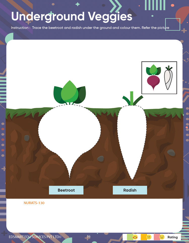 Edsmart Nursery Activity Book 1 for Kids 3 to 5 years old | Activities on Shapes & Eatables like colouring, tracing, using natural materials