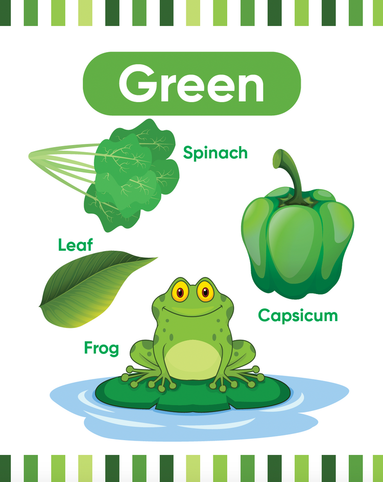 My First Picture Books for Kids - Body parts, Wellbeing, Colour, Shapes, Fruits, Veggies