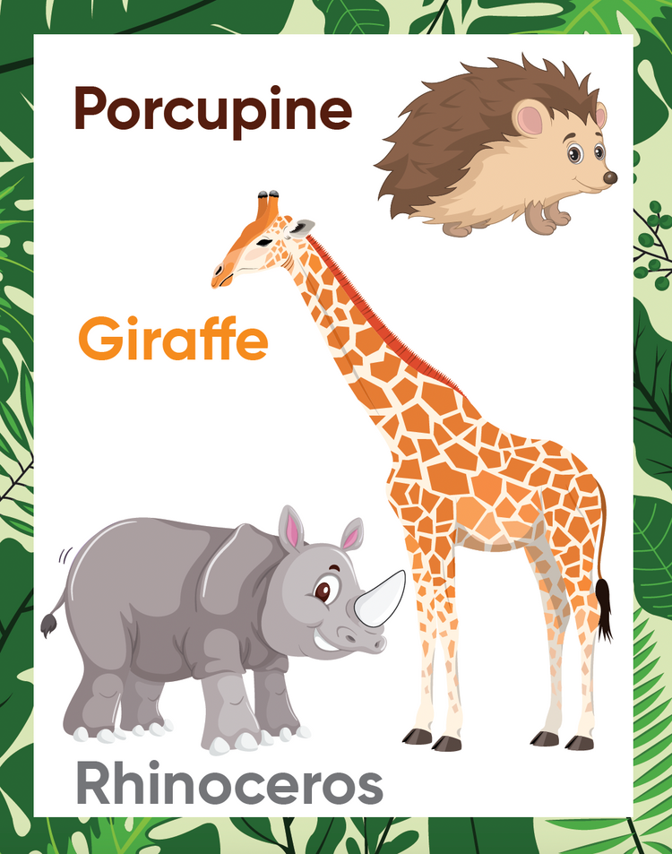 My First Picture Books for Kids - Animals picture book, Birds, Insects, Seasons & Vehicles