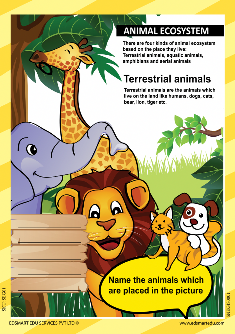 Senior KG Science and GK books for kids CBSE / UKG Science and GK Text Books / Science Picture books for kids [64 pages]/ Kindergarten GK Book covers 12 GK Concepts (with project instructions)