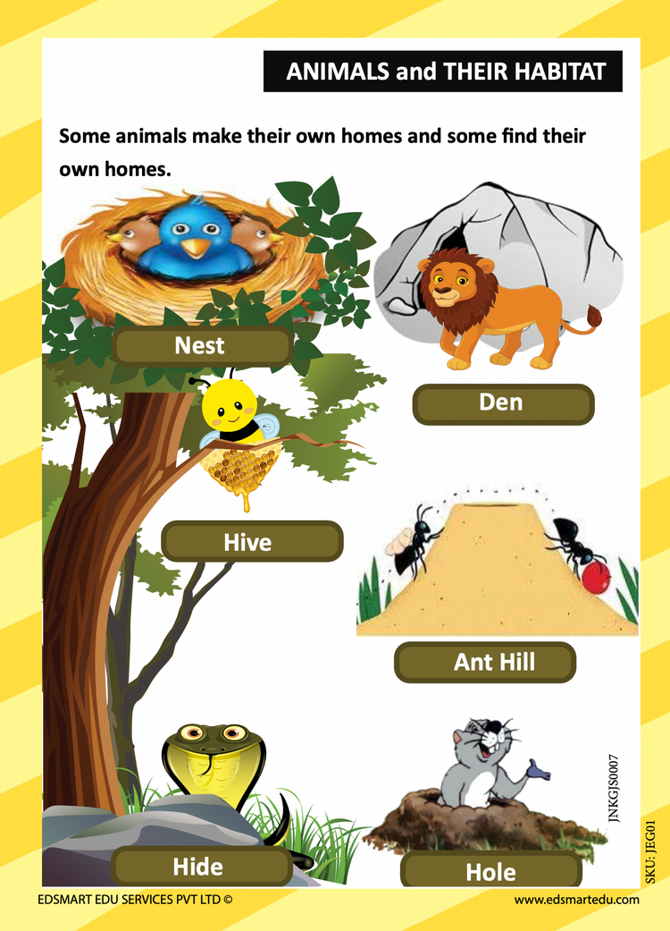 Junior KG Science and General Knowledge books for kids CBSE (Sticker sheet included) / LKG Science and GK CBSE Text Books / LKG Science Picture books